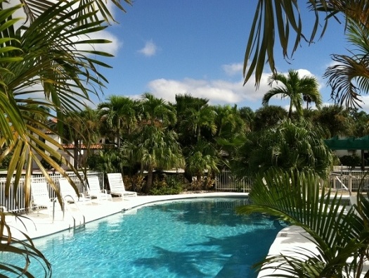 Swimming Pool Swimming Pool