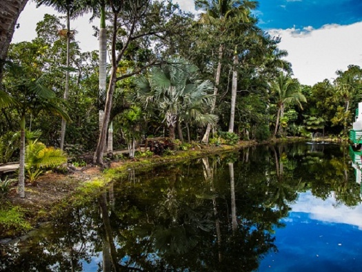 Ponds & Water Features Ponds & Water Features