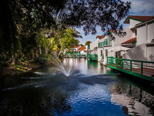 Ponds & Water Features Ponds & Water Features