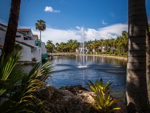 Ponds & Water Features Ponds & Water Features